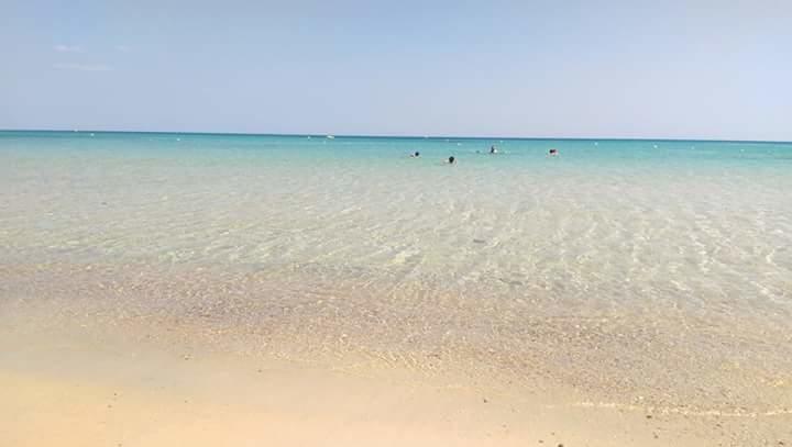 Le Lagon De Hammamet Διαμέρισμα Εξωτερικό φωτογραφία